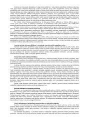 Intelektualinė nuosavybė 6 puslapis