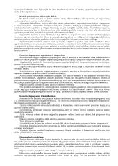 Intelektualinė nuosavybė 9 puslapis