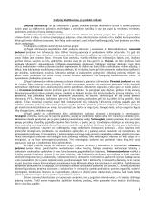 Įrodymų teorijos samprata 4 puslapis