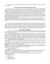 Įrodymų teorijos samprata 5 puslapis