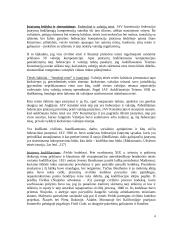 JAV teisė kaip Vakarų teisės tradicijos atmaina 4 puslapis