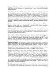 JAV teisė kaip Vakarų teisės tradicijos atmaina 7 puslapis