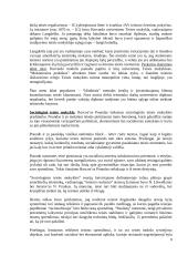 JAV teisė kaip Vakarų teisės tradicijos atmaina 8 puslapis