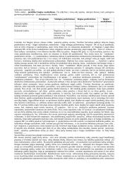 Juridinio asmens baudžiamoji atsakomybė - teorinė medžiaga 12 puslapis