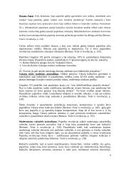 Kanonų teisės paskaitos teorija 4 puslapis