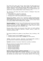 Kanonų teisės paskaitos teorija 7 puslapis