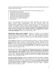 Kanonų teisės paskaitos teorija 8 puslapis