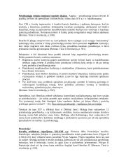 Karalių teisė 7 puslapis