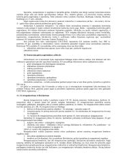 Komercinė teisė - paskaitų teorinė medžiaga 5 puslapis