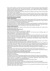 Komercinės teisės paskaitų medžiaga 3 puslapis