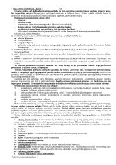 Komercinių bankų operacijos: teorija 10 puslapis