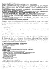 Konstitucinė lyginamoji teisė. Pasiruošimas egzaminui 2 puslapis