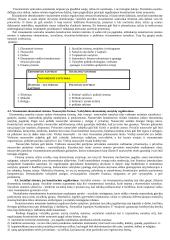 Konstitucinė lyginamoji teisė. Pasiruošimas egzaminui 16 puslapis