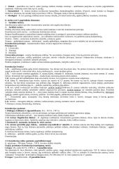 Konstitucinė lyginamoji teisė. Pasiruošimas egzaminui 3 puslapis