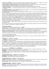 Konstitucinė lyginamoji teisė. Pasiruošimas egzaminui 5 puslapis