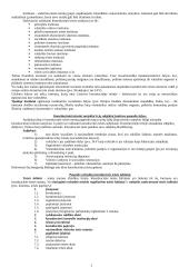 Konstitucinė lyginamoji teisė. Išsami medžiaga 3 puslapis