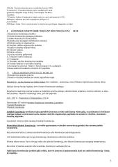 Lyginamoji Konstitucinė teisė - teorinė medžiaga 5 puslapis