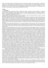 Konstitucinė teisė: plati medžiaga 7 puslapis