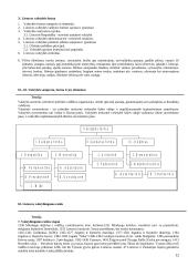 Konstitucinė teisė - paskaitų teorinė medžiaga 12 puslapis