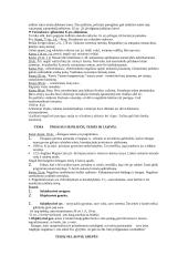 Konstitucinės teisės pagrindų teorinė medžiaga 14 puslapis