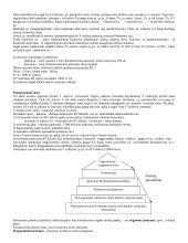 LR konstitucinės teisės samprata 13 puslapis