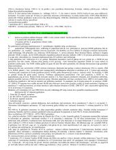 LR konstitucinės teisės samprata 16 puslapis