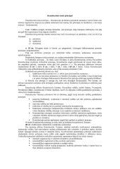 Konstitucinė teisė bei Konstitucinis Teismas 6 puslapis