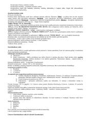 Konstitucinės teisės paskaitų medžiaga egzaminui 6 puslapis