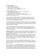 Lenų ir dvarų teisė 6 puslapis