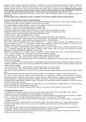 Lietuvos darbo birža ir jos funkcijos 4 puslapis