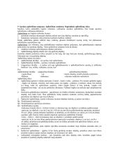 Logikos konspektai 15 puslapis