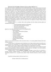 LR advokatūra 13 puslapis