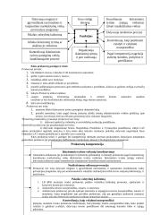 LR prokuratūros sistema 15 puslapis