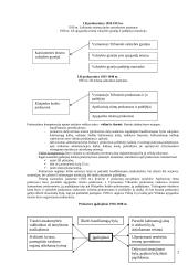 LR prokuratūros sistema 3 puslapis