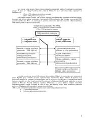 LR prokuratūros sistema 5 puslapis