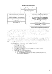 LR prokuratūros sistema 9 puslapis