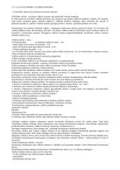 LR valstybinės valdžios sistema