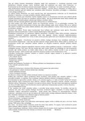 LR valstybinės valdžios sistema 2 puslapis