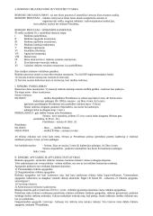 LR valstybinės valdžios sistema 12 puslapis