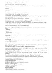 LR valstybinės valdžios sistema 19 puslapis