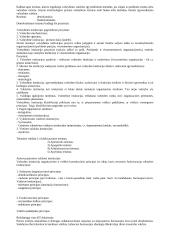 LR valstybinės valdžios sistema 3 puslapis