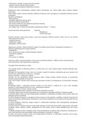 LR valstybinės valdžios sistema 6 puslapis