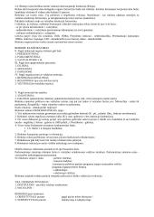 LR valstybinės valdžios sistema 9 puslapis