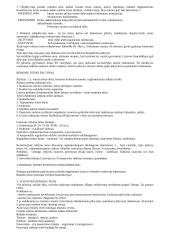 LR valstybinės valdžios sistema 10 puslapis