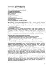 Miestų ir prekybos teisė