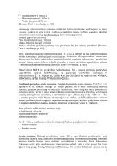 Miestų ir prekybos teisė 5 puslapis