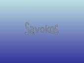 Mokesčių administravimas. Viskas ką reikia žinoti 2 puslapis