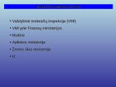 Mokesčių administravimas. Viskas ką reikia žinoti 11 puslapis