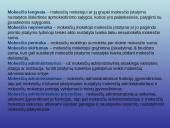 Mokesčių administravimas. Viskas ką reikia žinoti 4 puslapis