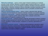 Mokesčių administravimas. Viskas ką reikia žinoti 5 puslapis